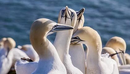 宁波最新公积金卡提取现金方法app方法分析(最方便真实的宁波公积金卡怎样从手机里取出来?方法)